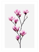 Flower Power - Poster Seti Duo